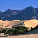 Niger Tours from Agadez